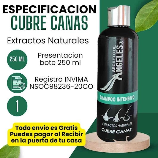 SHAMPOO CUBRE CANAS SECRETO DE ANGELES