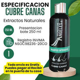 SHAMPOO CUBRE CANAS SECRETO DE ANGELES